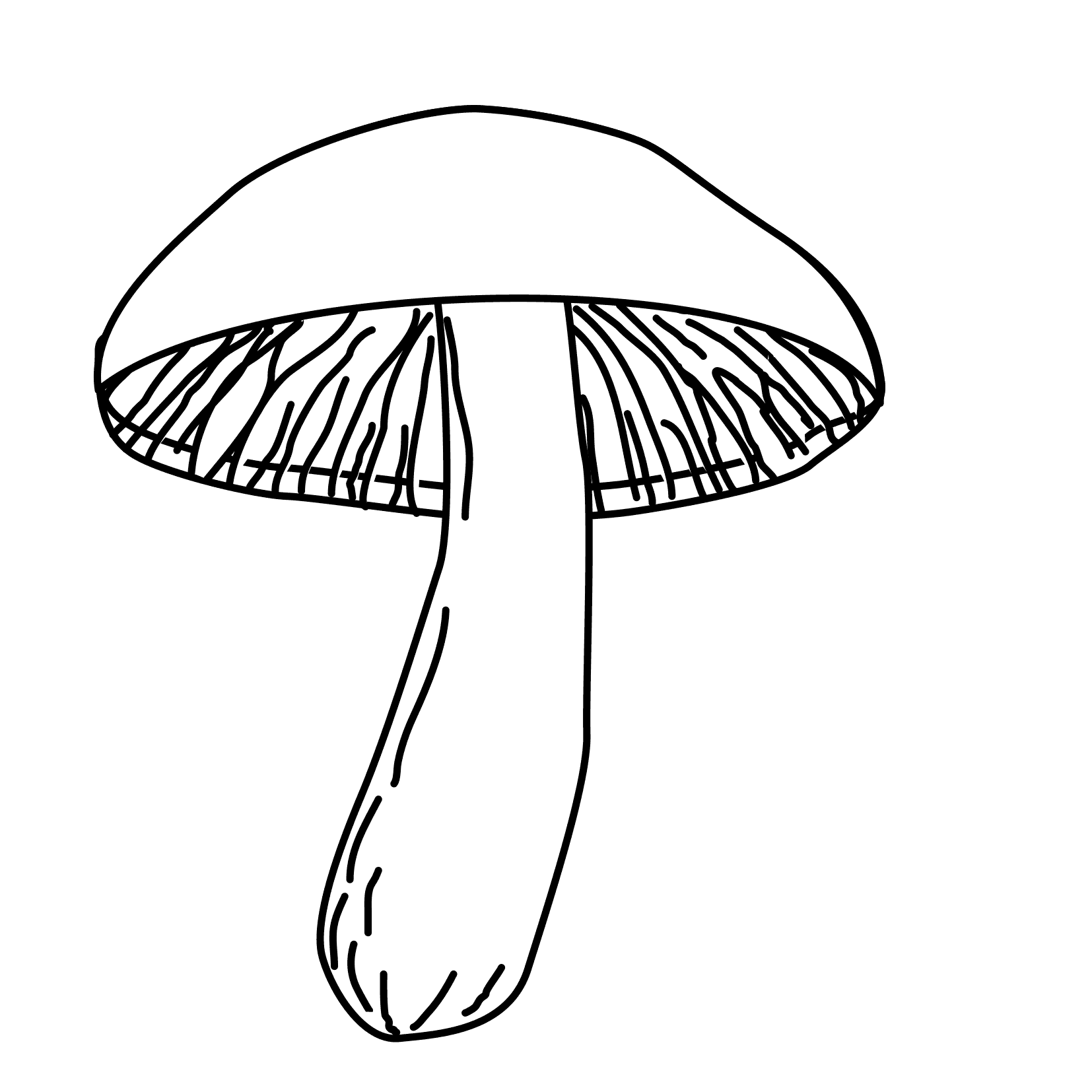 Coloring Pages Plants And Fungi   Free Downloads