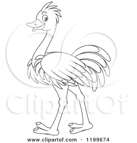 Ostrich Black And White Clipart Cartoon Of A Black And White