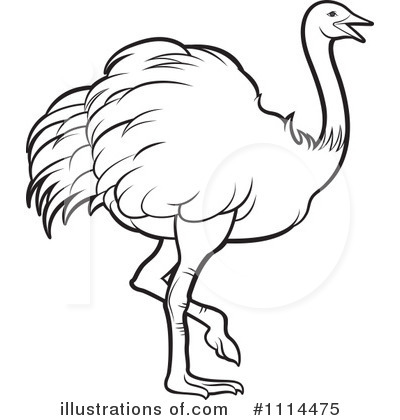 Ostrich Black And White Clipart Royalty Free Rf Ostrich