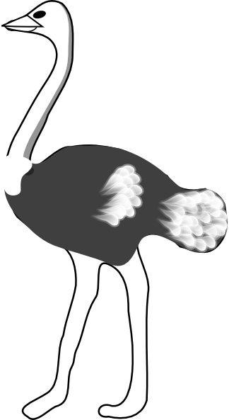 Ostrich Clip Art At Clker Com   Vector Clip Art Online Royalty Free