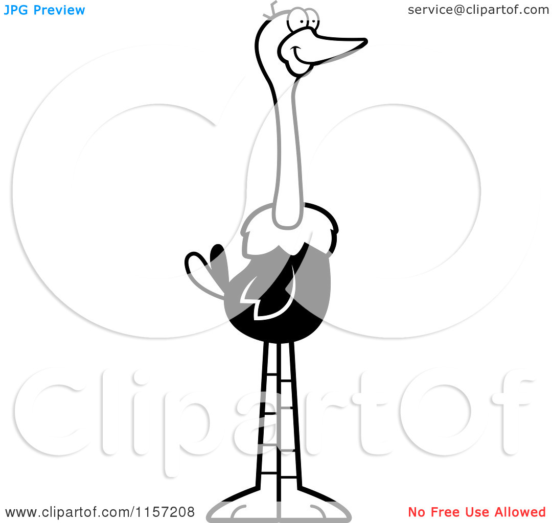 Ostrich Clipart Black And White Cartoon Clipart Of A Black And White