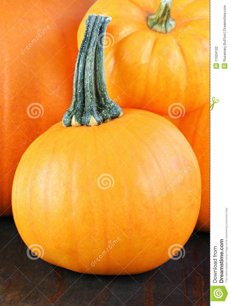 Pumpkins Stacked Stock Photography   Image  11004102