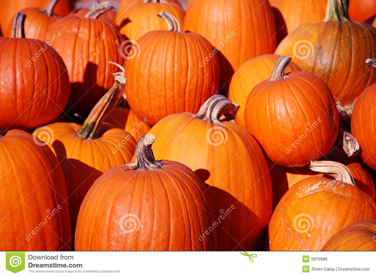 Pumpkins Stacked Up Royalty Free Stock Image   Image  5815686