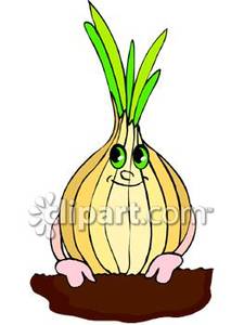Smiling Cartoon Onion   Royalty Free Clipart Picture