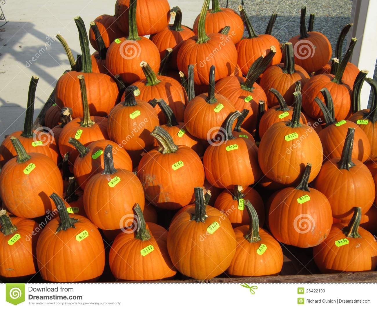 Stacked Pumpkins Royalty Free Stock Images   Image  26422199