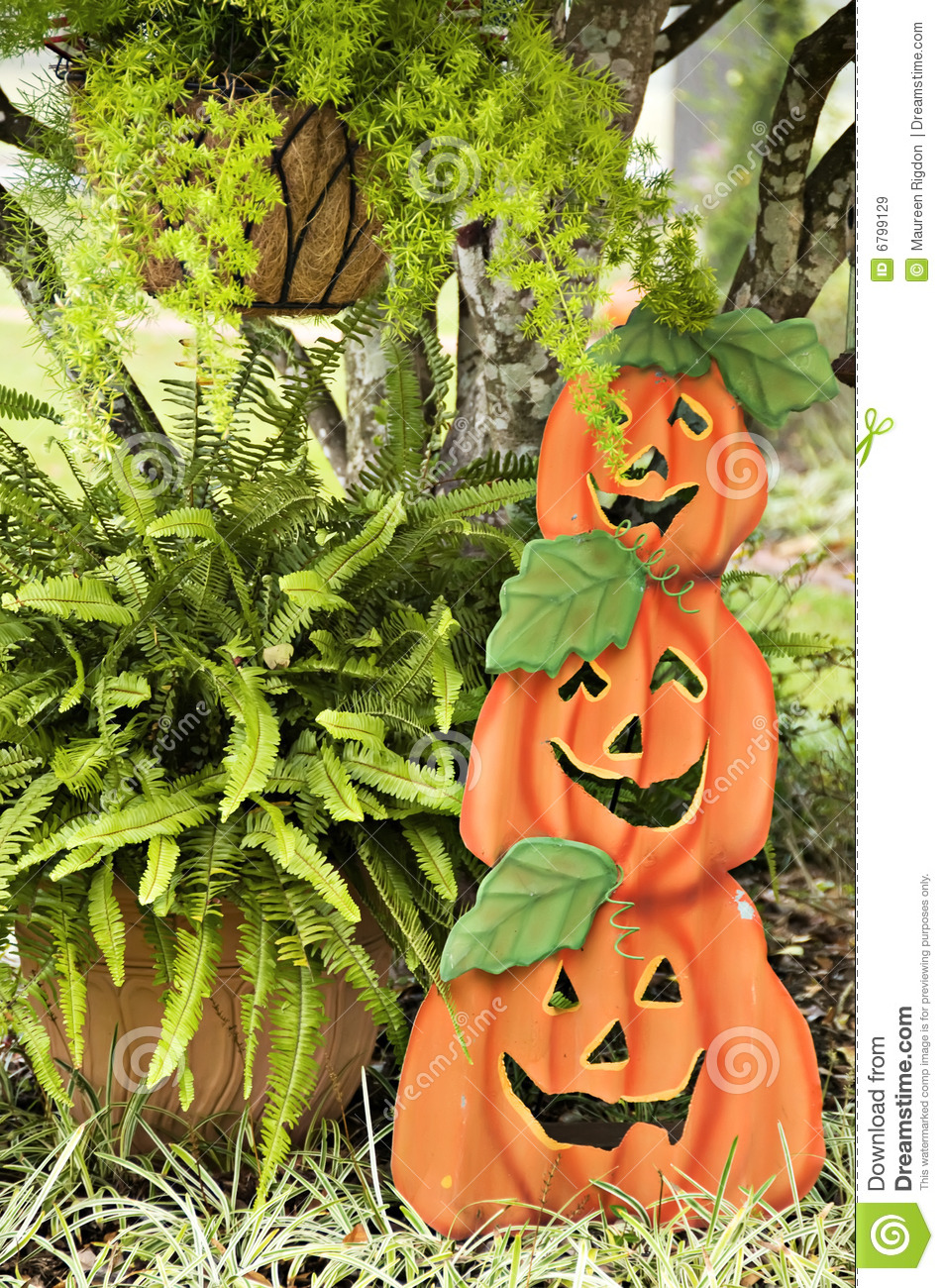 Stacked Pumpkins Royalty Free Stock Images   Image  6799129