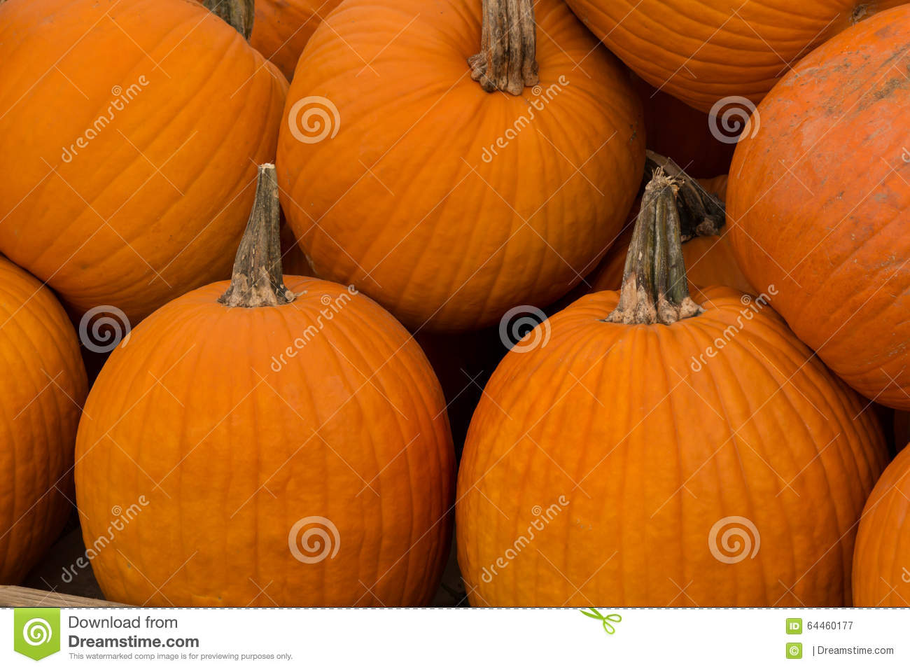 Stacked Pumpkins Stock Photo   Image  64460177