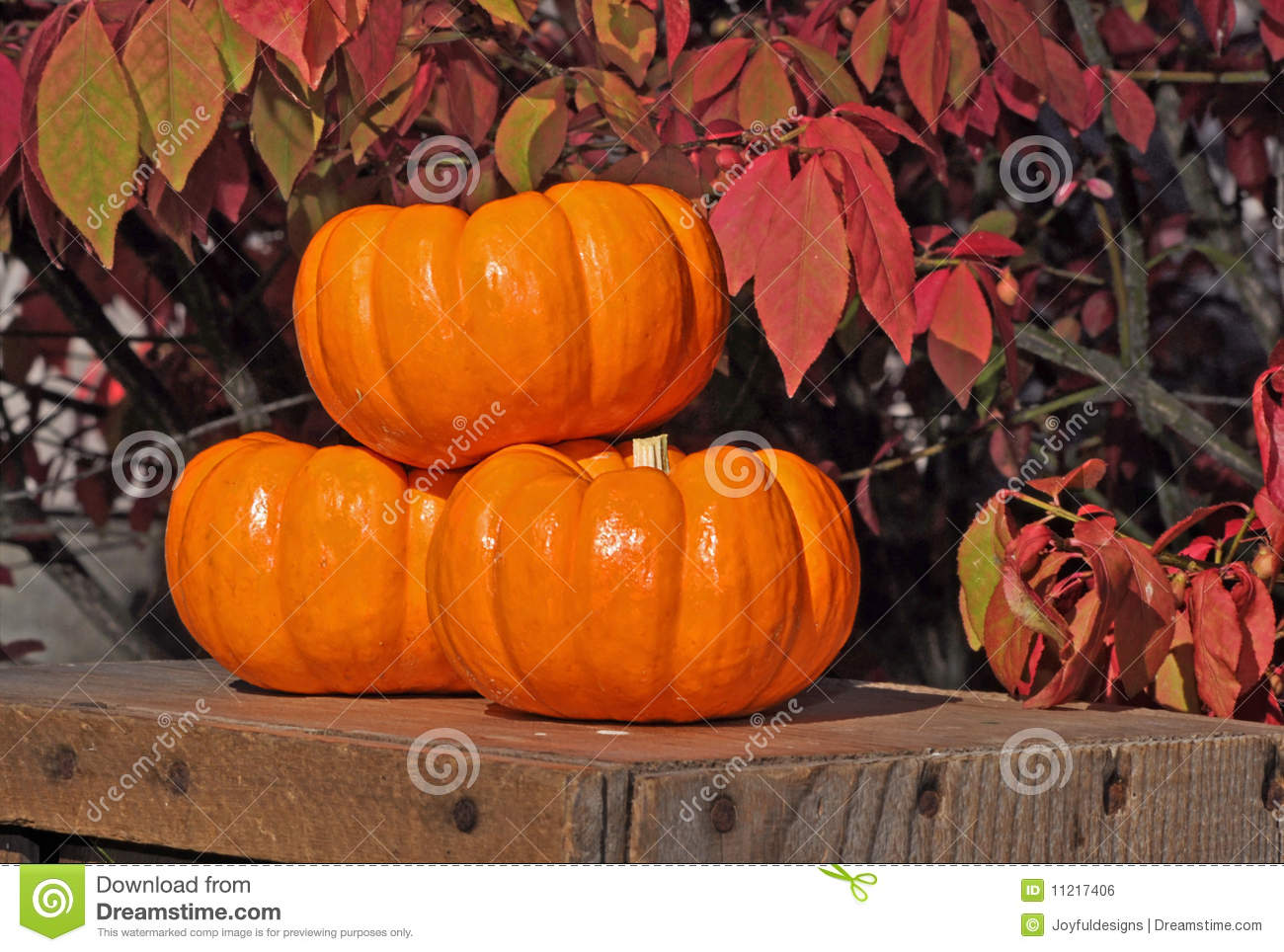 This Still Life Is Three Small Pumpkins Stacked On A Wooden Crates