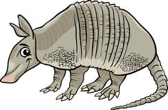 Cartoon Armadillo Animal Stock Photos Images   Pictures    93    