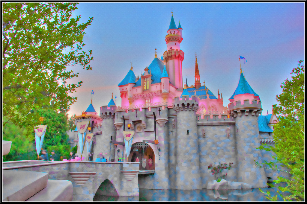 Disneyland Castle Disneyland Castle