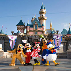 Disneyland Hotel And Ticket Package Disneyworld Accidents Disneyland