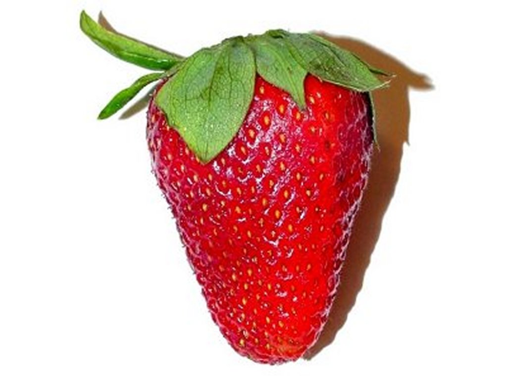 Free Strawberry Clipart Pictures