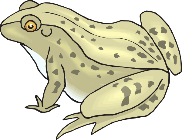 Go Back   Gallery For   Brown Toad Clipart