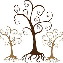 Ideas For Family Tree Tattoos