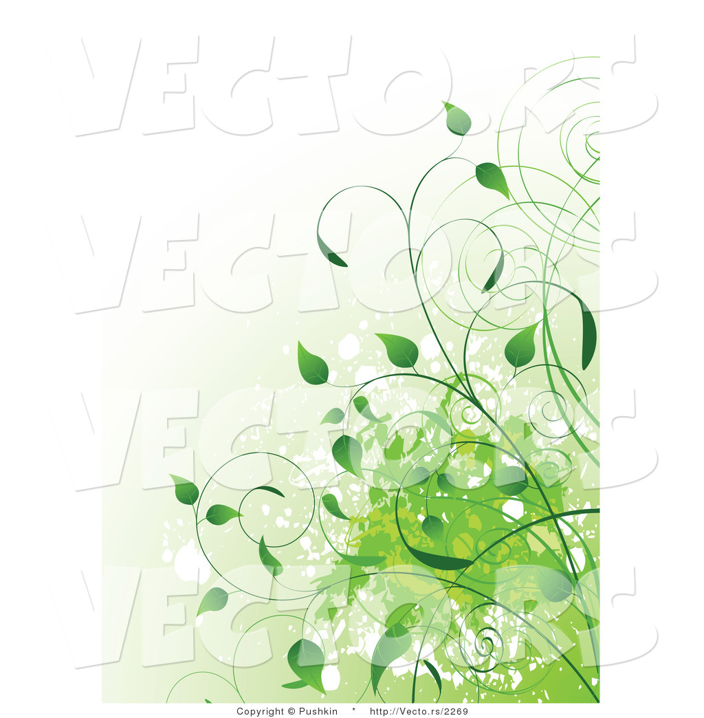 Vector Of Green Organic Vines With Splatters   Background Design By