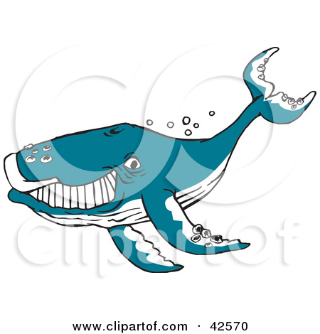 Whale Clip Art Pic2fly Whale Clip Art Html Pictures To Pin On