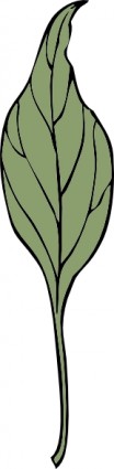 An Ivy Leaves Clip Art Banana Clip Art Of Ivy Vines