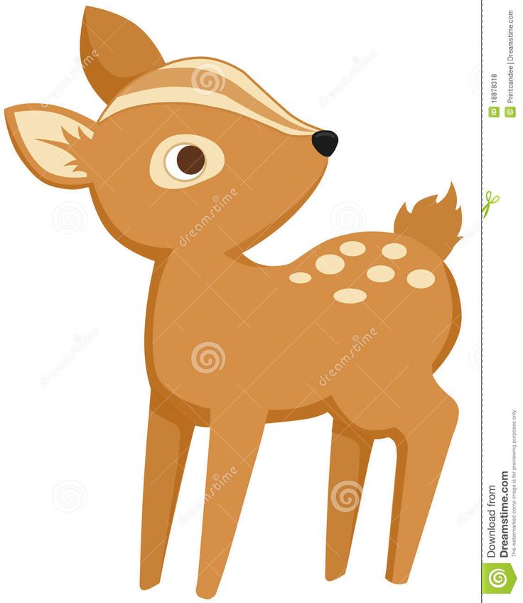 Baby Deer Clip Art   Google Search   Nursery Ideas   Pinterest