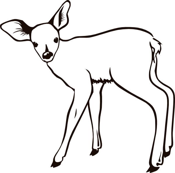Baby Deer Coloring Pages   Clipart Panda   Free Clipart Images