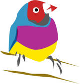 Clip Art Of Birds Bird Vertebrate Pet Parrot Parakeet Animal