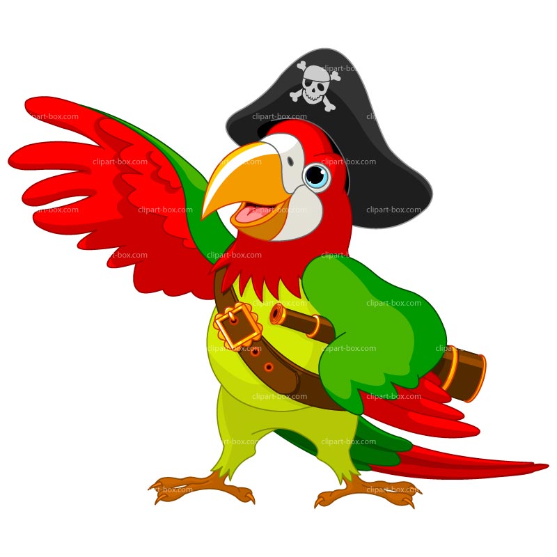 Clipart Pirate Parrot   Royalty Free Vector Design