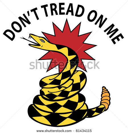 Coiled Snake Stock Photos Images   Pictures   Shutterstock