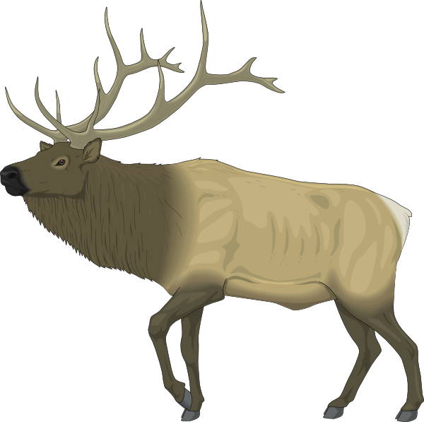 Large Moose Clip Art At Clker Com   Vector Clip Art Online Royalty