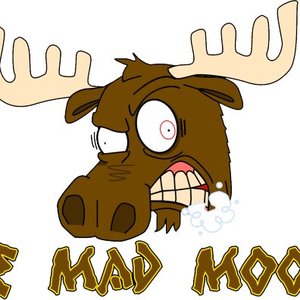 Mad Moose   Search Engine   Twitter Facebook Web Images Video And