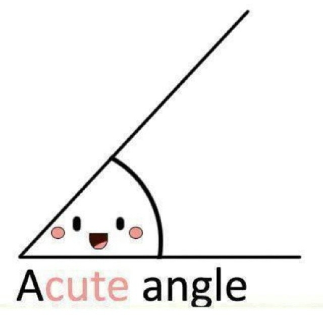 Acute Angle Cute Math Joke Small   Math Funny