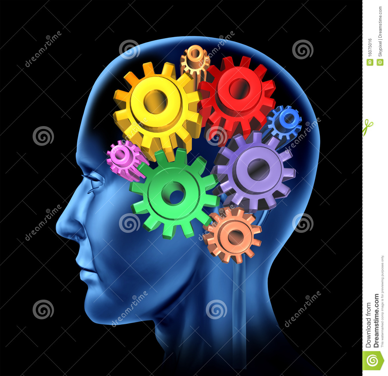 Brain Activity Intelligence Royalty Free Stock Image   Image  16075016