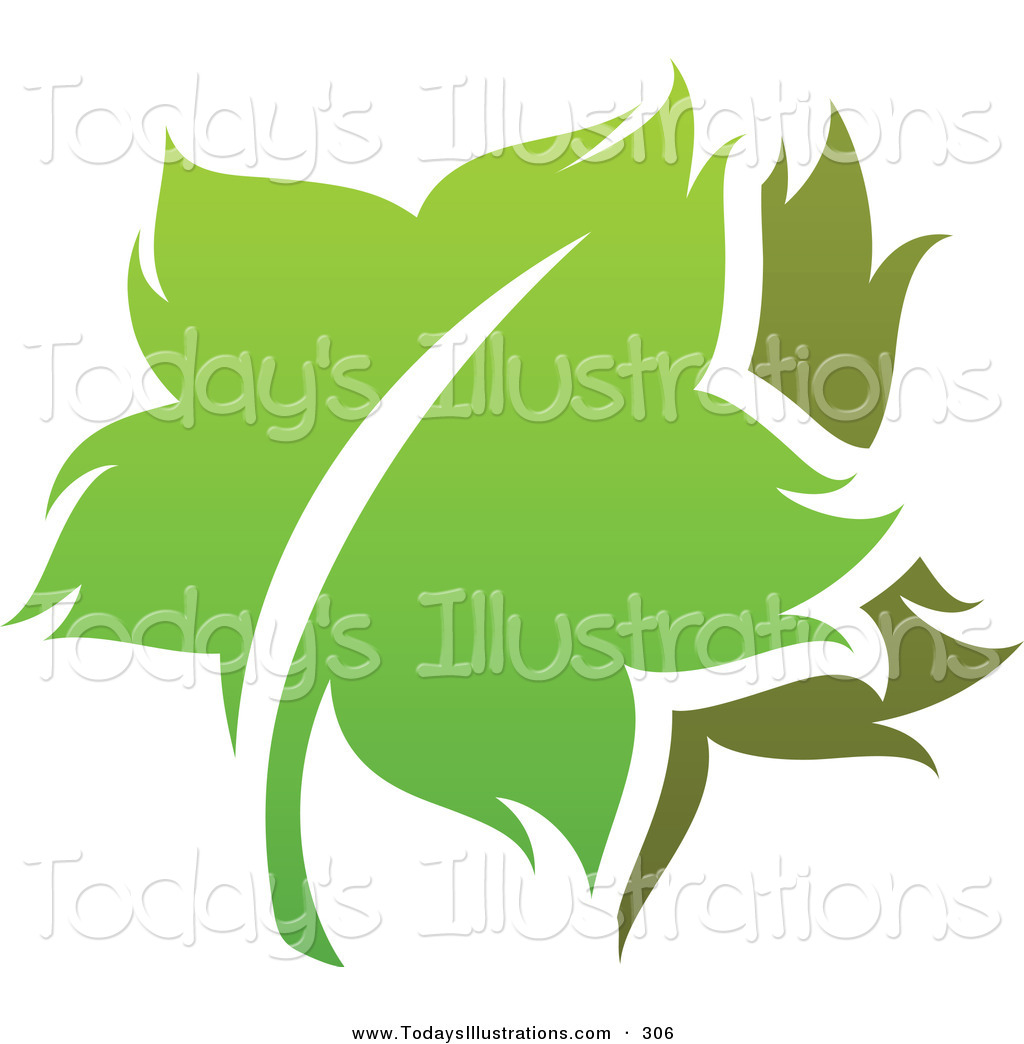 Clipart Of Two Green Leaves Logo Icon On White By Elena    306
