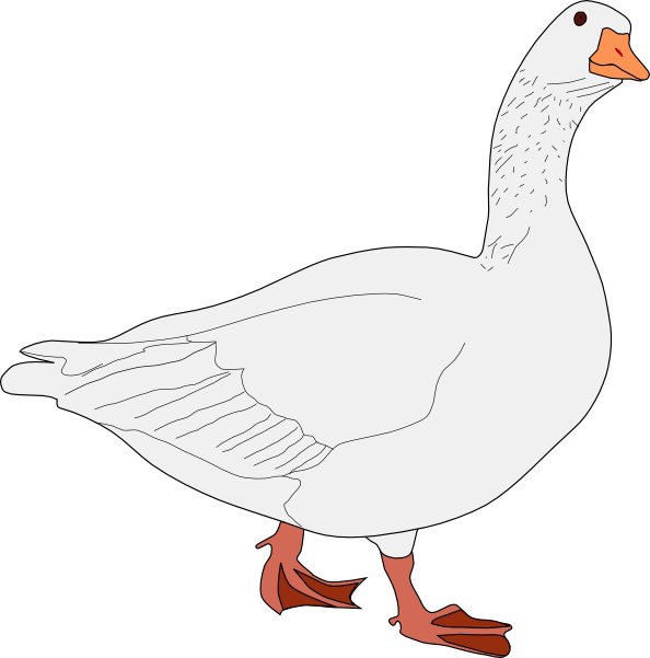 Goose Bird Clip Art At Clker Com   Vector Clip Art Online Royalty