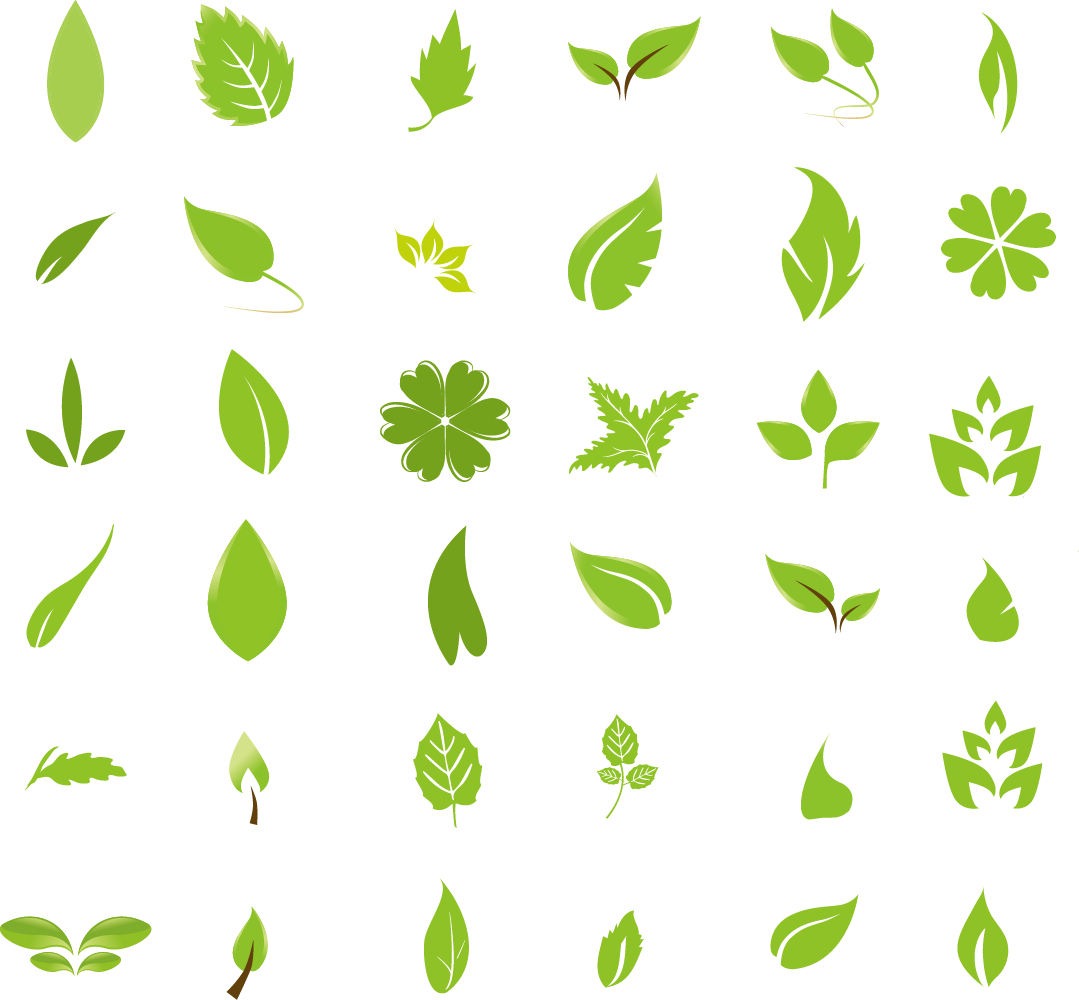 Green Leaf Design Elements   Free Vector Graphics   All Free Web
