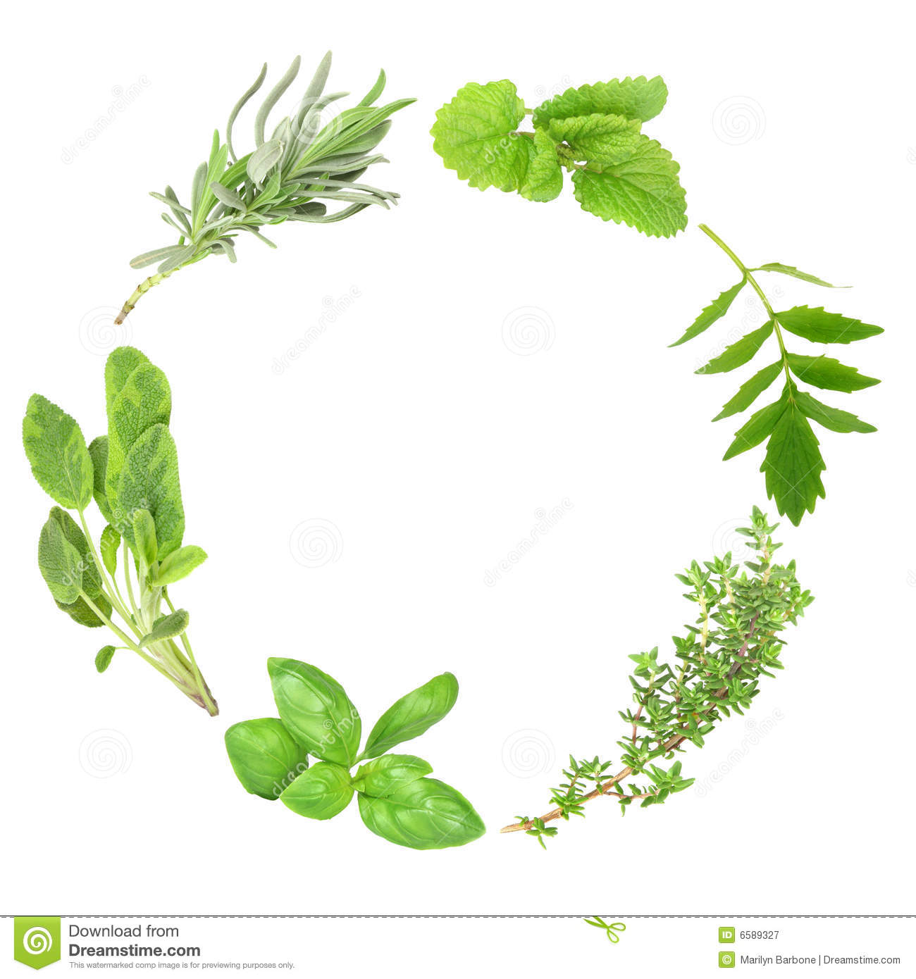 Herb Leaf Garland Of Basil Variegated Sage Lavender Lemon Balm