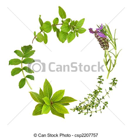 Herb Leaf Garland Of Lavender Bay Oregano Lemon Thyme And Valerian