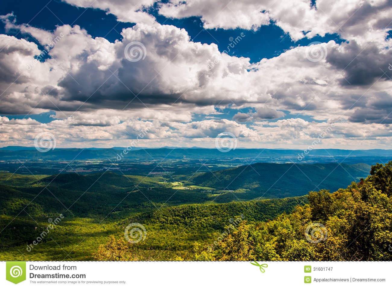 Appalachian Mountains From George Washington National Forest Virginia