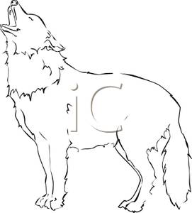 Black And White Wolf Howling   Royalty Free Clipart Picture