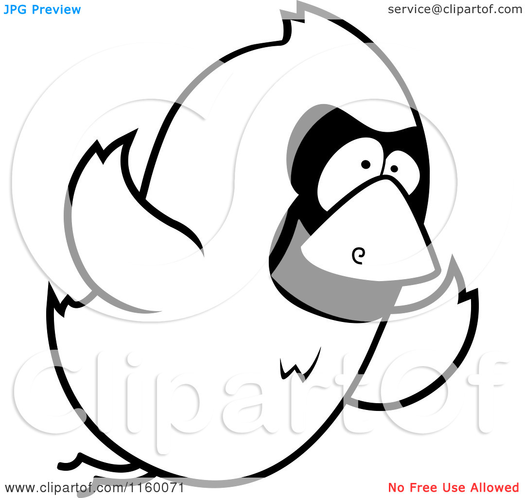 Cartoon Clipart Of A Black And White Bird Flying   Vector Outlined    