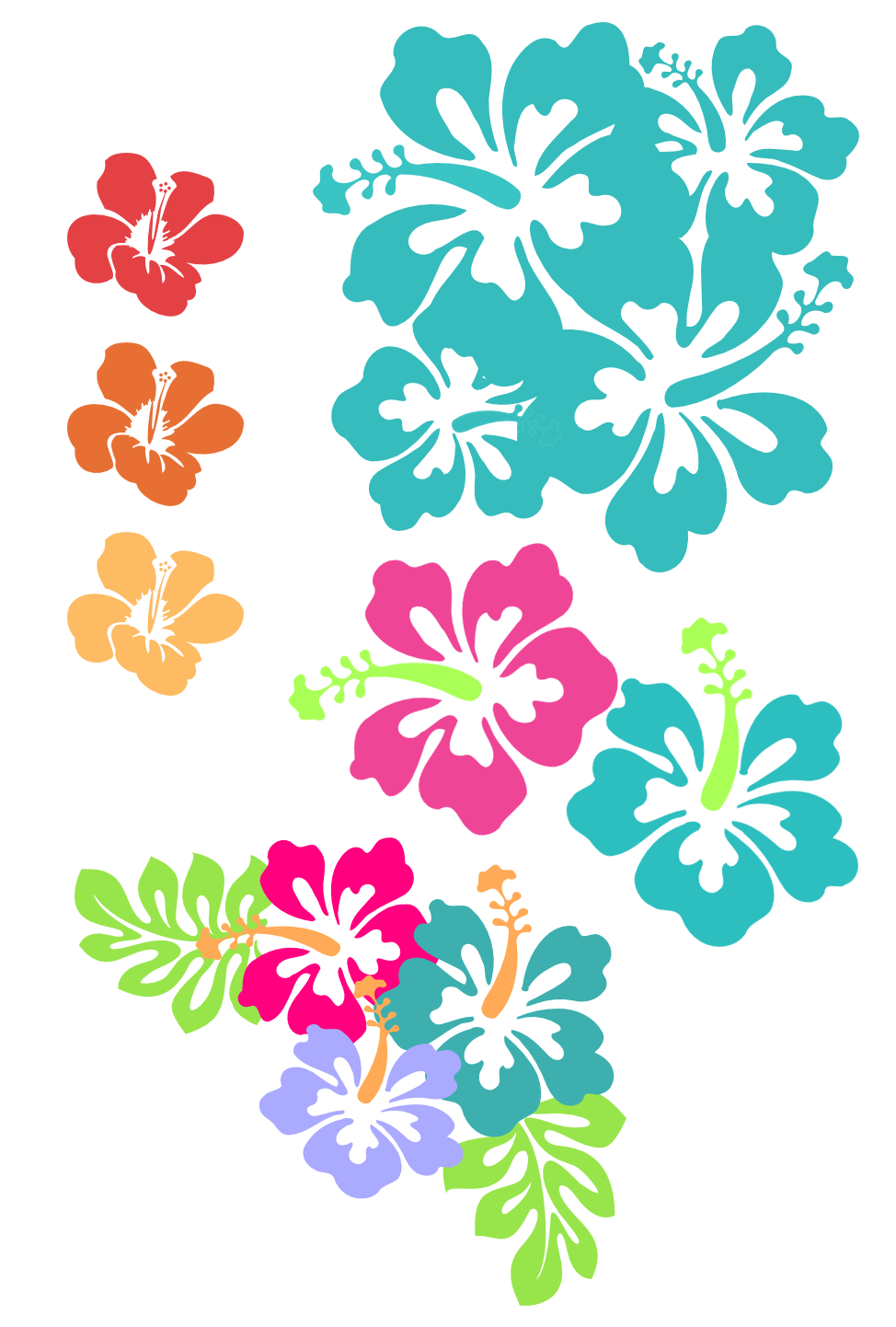Hibiscus Clipart Png Hibiscus Pngs   Free