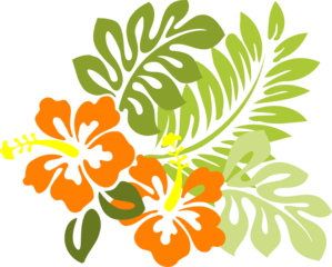Hibiscus Orange Clip Art At Clker Com   Vector Clip Art Online