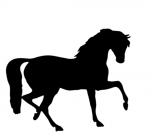 Horse Silhouette Clipart By Karen Arnold