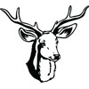 Mounted Deer Head Hunting Animal Art For Personalized Gifts