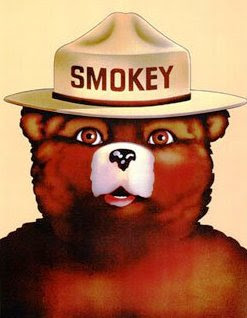 Of Smokey The Bear Http Www Brandsoftheworld Com Logo Smokey The Bear