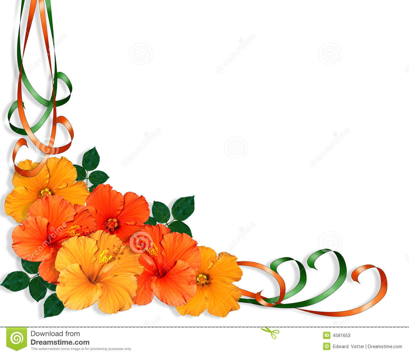     Or Border Of Orange And Yellow Hibiscus Flowers And Ribbons