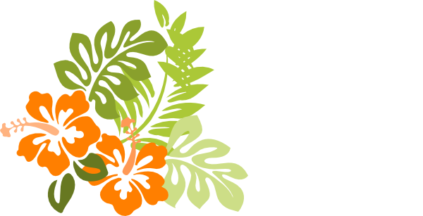 Orange Hibiscus Clip Art At Clker Com   Vector Clip Art Online