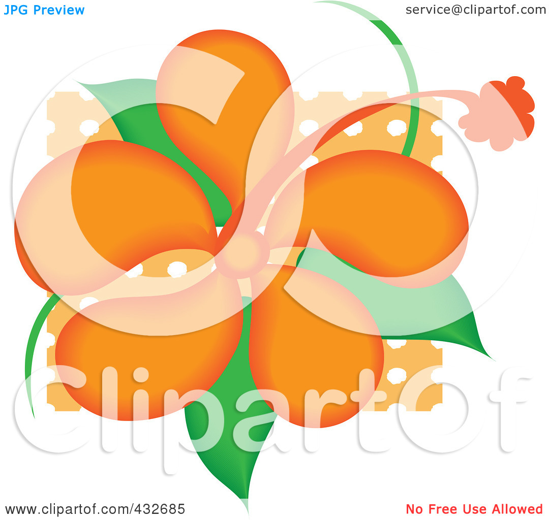 Royalty Free  Rf  Clipart Illustration Of A Pretty Orange Hibiscus