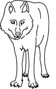 Showing  14  Pics For Wolf Black And White Clipart