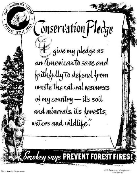Smokey The Bear   Conservation Pledge 1954 Campaign Illustration