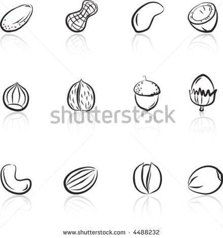 Various Nuts Black   White   Stock Vector