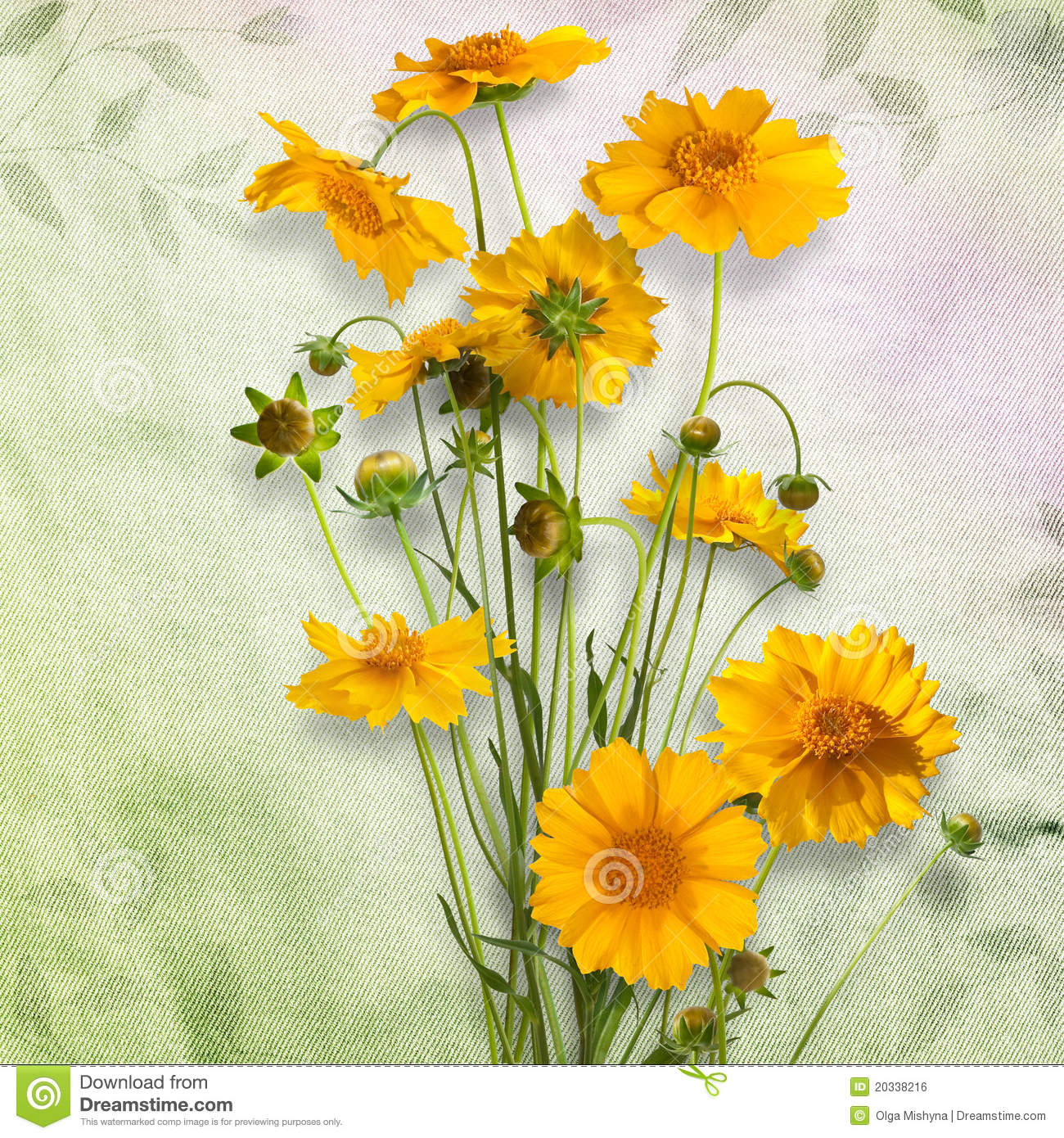 Bouquet Of Of Yellow Daisy Gerbera Royalty Free Stock Image   Image    